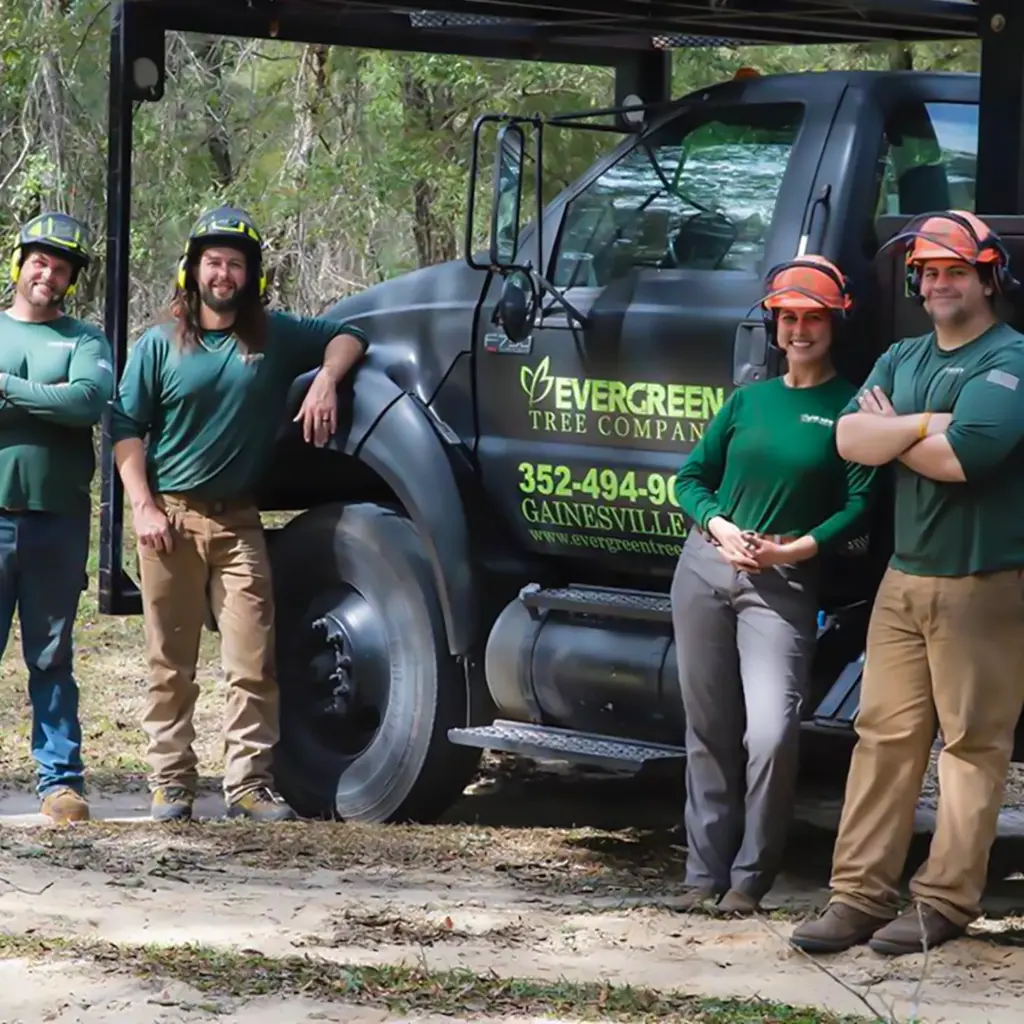 Four Evergreen Tree Company team members in uniform pose with crossed arms next to a company truck in Gainesville, Florida.