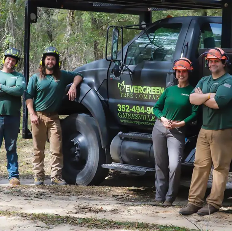 Emergency Tree Service in Gainesville, FL – 24/7 Help